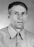 zorin_vladimir_anatolevich